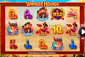 NextGen Gaming презентовал слот Wonder Hounds